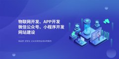 微信小程序后端APP定制公司公众号商城小游戏前端h5开发 微信小程序后端APP定制公司公众号商城小游戏前端h5开发